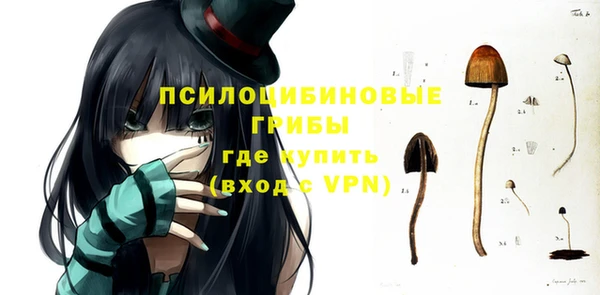 шишки Заволжск