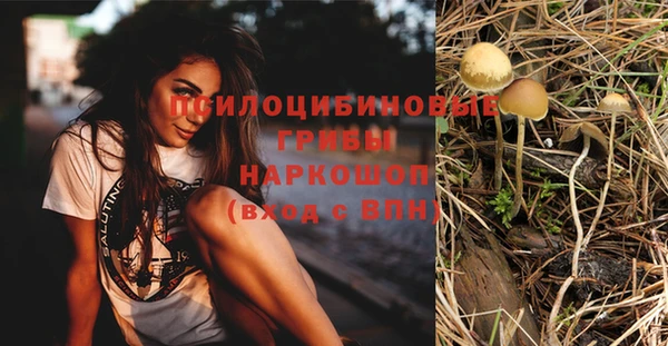 СК Зеленодольск