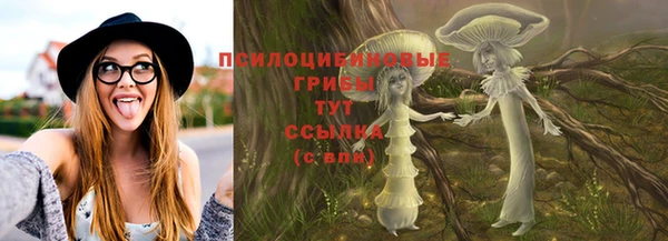 шишки Заволжск