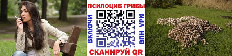 Галлюциногенные грибы Magic Shrooms  Кадников 
